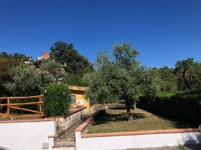 Casa Vacanze Nonna Suocera